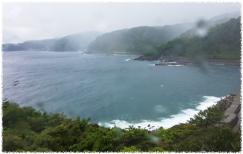 梅雨入りしました