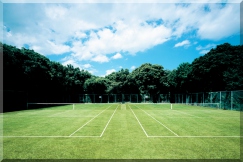 赤沢テニススクールは初めての方でも安心です！