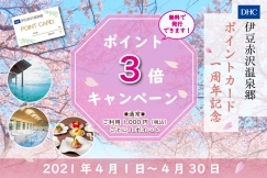 伊豆赤沢温泉郷 ポイントカード 1周年記念キャンペーン♪