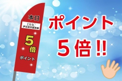 ポイント5倍Dayはお得に楽しくお買い物♪